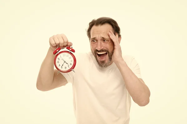 Je déteste être en retard. Un homme tient le réveil à la main. Le mec barbu homme mûr s'inquiète du temps qui reste. Gestion du temps et discipline. Ponctualité et responsabilité. Homme avec horloge sur fond blanc — Photo