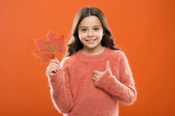 满意的孩子竖起大拇指.小孩子抱着枫叶变色.庆祝秋天。秋天是最好的季节。小女孩笑着,挂着秋叶,竖起大拇指.肚脐向上或像 — 图库照片