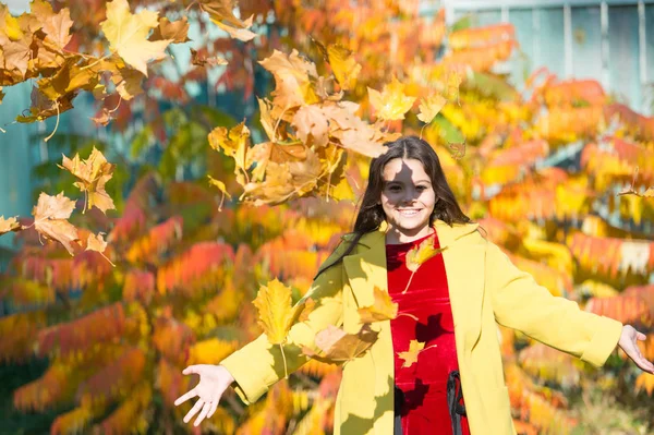Lehti putoaa. Tyylikäs tyttö syksyllä takki kävely syksyllä puistossa. Kaatuneet lehdet. Syksyn luonto. Onnellinen pieni lapsi ulkona leikkii lehdillä. Tyttö kävelee puistossa aurinkoisena päivänä. Nauti hetkestä Syksyn lämmin — kuvapankkivalokuva