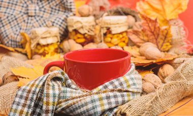 Bir fincan çay eşarp kırmızı arka plan düşmüş akçaağaç yaprakları ve ceviz ile çevrili. Kupa rahat aromatik çay içecek eşarp ve muamele etmek. Rahat sonbahar atmosfer. Isınma içecek konsepti