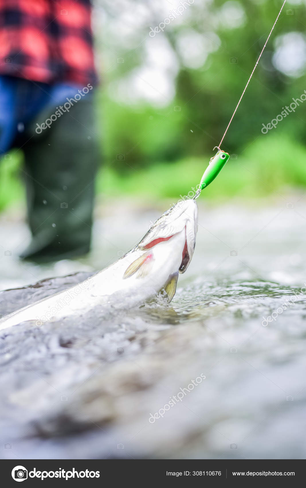 Öring bete. fånga fisk. fiske på sjön. hobby-och idrottsaktiviteter. Bra  fångst. flugfiske öring. rekreation och fritid utomhus. dödläge och  hopplöshet. fiskare och öring. fisk på kroken — Stockfotografi © stetsik  #308110676