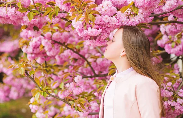Menina turista posando perto sakura. Flor suave. Criança em flores rosa de fundo de árvore sakura. Menina apreciando flor de cereja ou sakura. Criança bonito desfrutar da natureza no dia de primavera. Conceito de flor aromática — Fotografia de Stock