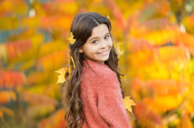 Sıcak bir sonbahar günü. Yapraklarla oyna. Mutlu bir çocukluk. Sonbahar festivali. Basit mutluluk. Çocuk sonbaharı dışarıda geçirmeyi seviyor. Sonbaharda tanışın. Küçük kız gülümsüyor mutlu şirin çocuk muhteşem uzun saç akçaağaç yaprakları