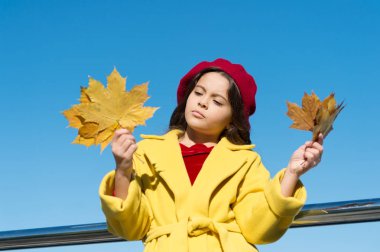 Melankoli konsepti. Sonbahar tatili için fikirler. Çocuk akçaağaç yapraklarını tut. Küçük kız dışarıda sonbahar kıyafeti giyiyor. Sonbahar yapılacaklar listesi. Üzgün çocuk anıları topluyor. Sonbahara elveda. Geçen sonbahar kirişleri