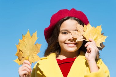 Havada düşüş var. Sonbahar tatili için fikirler. Çocuk akçaağaç yapraklarını tut. Küçük kız dışarıda sonbahar kıyafeti giyiyor. Sonbahar yapılacaklar listesi. Gülümseyen çocuk hatıraları topluyor. Sonbahara elveda. Geçen sonbahar kirişleri