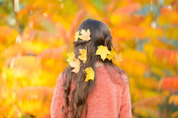 Осенний фестиваль. Простое счастье. Ребенку нравится осень на свежем воздухе. Встречайте осень. Маленькая девочка милый ребенок великолепные длинные волосы клен оставляет вид сзади. Уютный осенний день. Поиграй с листьями. Счастливого детства — стоковое фото