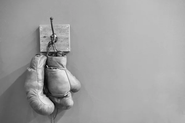 Museum of box sport. Box exhibition retro attributes. Boxing school. Vintage boxing gloves hang on hook wall background. Boxing gloves and copy space on grey. Finished boxing career famous sportsman — Stock Photo, Image