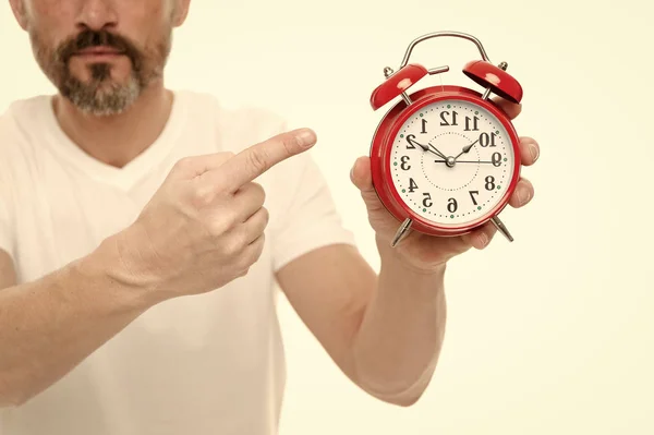 Check time. Man hold alarm clock in hand. Guy bearded mature man worry about time. What time is it. Time management and discipline. Punctuality and responsibility. Man with clock on white background