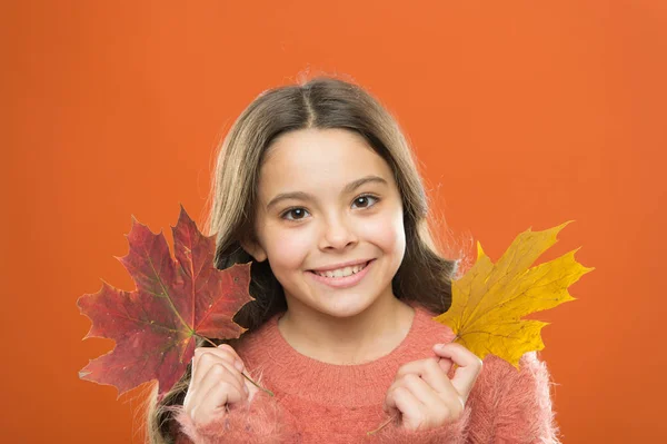 Organikus kozmetikumok és bőrápolók. Boldog őszi szezont. Kis gyermek tartsa juhar levelek változó színű. Ünnepeljük az őszt. Természetes szépség. Egy kislány, aki őszi levelekkel mosolyog. Milyen csodálatos az ősz. — Stock Fotó