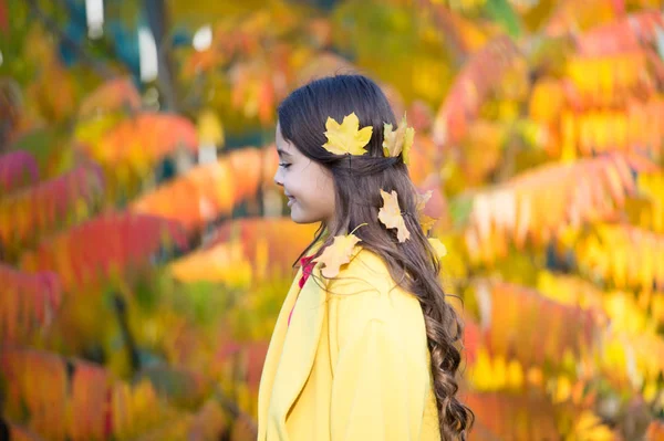 Sonbahar yapraklarını kullanmak için yaratıcı bir yol. Uzun esmer saçlı, sonbahar yaprakları giyen küçük bir kız. Sonbahar saç bakımı. Kuru kalmasın diye sonbahar saç bakımı önemlidir. — Stok fotoğraf