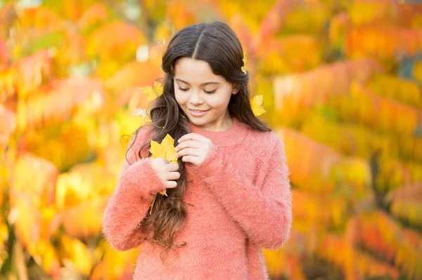 Play with leaves. Happy childhood. Fall festival. Simple happiness. Kid enjoy autumn outdoors. Meet autumn. Little girl smiling happy cute child gorgeous long hair maple leaves. Cozy autumn day — Stock Photo, Image
