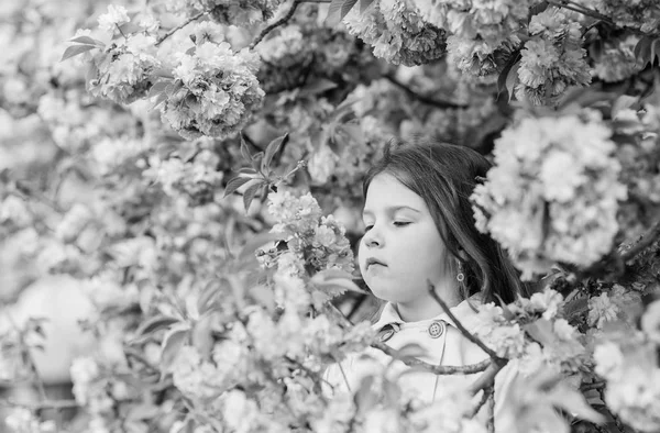Megszabadulni a szezonális allergia. Lány élvezi virágos aroma. Kid on rózsaszín virágok Sakura fa háttérben. Gyermek élvezni az életet allergia nélkül. Szippantás virágok. Allergia orvoslása. Pollenallergia koncepció — Stock Fotó
