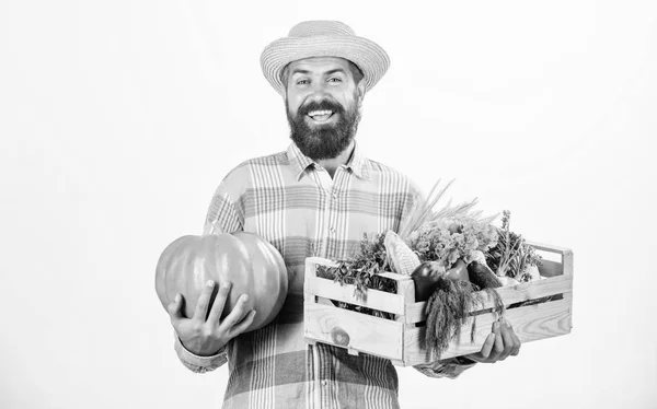 Campesino hábil presentando su trabajo. hombre con una rica cosecha de otoño. agricultor maduro barbudo. comida natural orgánica. Feliz Halloween. alimentos vitamínicos estacionales. Frutas y hortalizas útiles. festival de cosecha —  Fotos de Stock