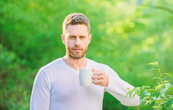 Man bearded tea farmer hold mug nature background. Green tea contains bioactive compounds that improve health. Whole leaf tea. Natural drink. Healthy lifestyle. I prefer green tea. Refreshing drink