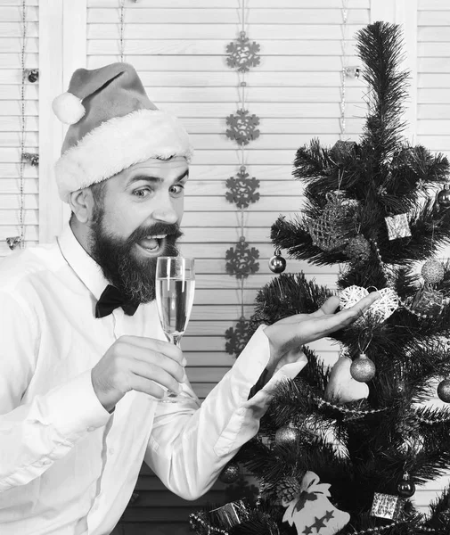 Mannen med skägg ser på champagneglas och visar träd — Stockfoto