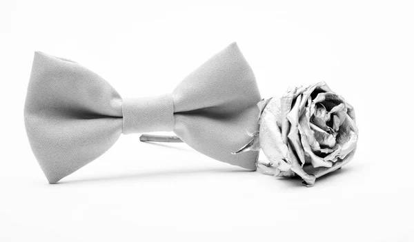 Gümüş gül çiçeği ve erkek papyon beyaz izole. Düğün aksesuarları. Zarif bir görünüm. Esthete detayı. Modern resmi tarz. Moda aksesuarı. vintage ve retro tarzı. Damat düğün — Stok fotoğraf