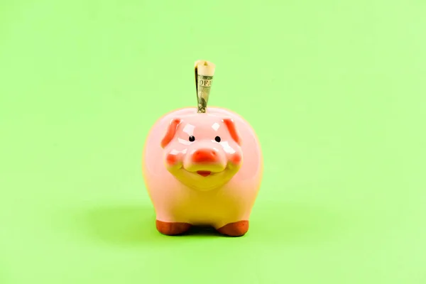 Credit concept. Money saving. Banking account. Earn money salary. Money budget planning. Financial wellbeing. Economics and finance. Piggy bank pink pig stuffed dollar banknote cash. Save money