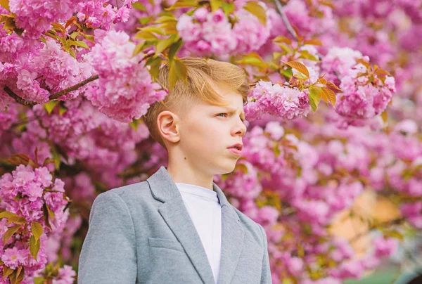 Selbstbewusste, stilvolle Kinder genießen einen warmen Frühlingstag. Junge modischer Teenager posiert in der Nähe von Sakura. Ein Gartenkonzept. Kind rosa Blüten von Sakura-Baum Hintergrund. Kerl genießt Kirschblütensakura — Stockfoto