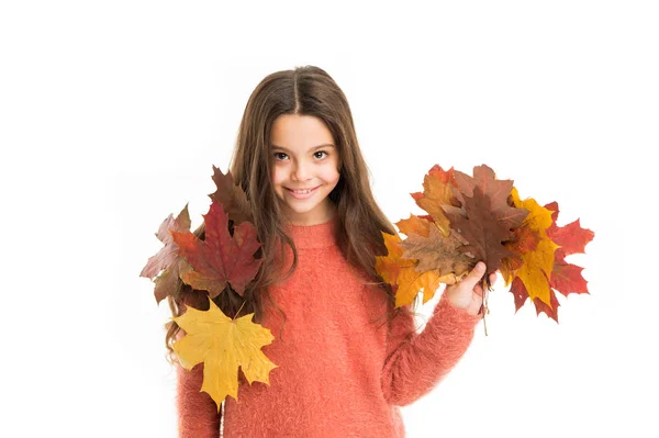 Girl child cozy sweater. Hygge concept. Autumn pleasures. Feeling cozy this days. Cozy days. Childhood happiness. Fall season. Kid with fallen leaves white background. Happy small girl maple leaves — Stock Photo, Image