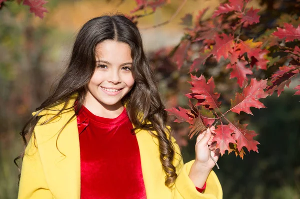 秋のレジャー。秋の雰囲気。愛らしい笑顔の女子高生紅葉の背景。気分がいい。幸せな子供だ。ようこそ10月。自然との融合。秋の公園を歩く小さな子供 — ストック写真