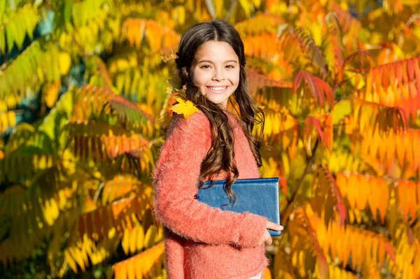 Continua a studiare. La bambina legge il libro il giorno d'autunno. Il concetto di letteratura autunnale. Bambino piccolo godere di lettura autunno sfondo fogliame. I bambini piccoli amano imparare nel parco autunnale. Studio per bambini con libro — Foto Stock