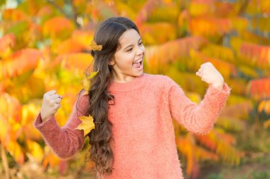 Çocuk sonbaharı dışarıda geçirmeyi seviyor. Sonbaharda tanışın. Gün boyunca daha fazla çevresel hasara karşı saçlarını koru. Küçük kız gülümsüyor mutlu çocuk muhteşem uzun saç akçaağaç yaprakları. Sıcak bir sonbahar günü