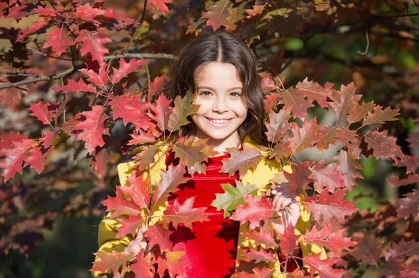 Jó hangulat. Boldog gyerek. A tökéletes ősz. Egyesülve a természettel. Kisgyerek séta az Őszi Parkban. Őszi szezon szabadidő. Az ősz légköre. Imádnivaló mosolygós iskolás lány őszi lombozat háttér — Stock Fotó