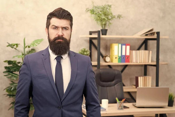 challenge. Business challenge. Modern businessman. Male fashion in business office. challenge business. Businessman in formal suit. Man. Bearded man. Mature hipster with beard. Creative office