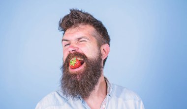 Çilek yemek uzun sakallı adam yakışıklı hippi. Hipster neşeli sulu olgun kırmızı çilek tadını çıkarın. Adam ham taze çilek tat tadını çıkarın. Berry de sakallı hippi ağız. Çiğ gıda kavramı