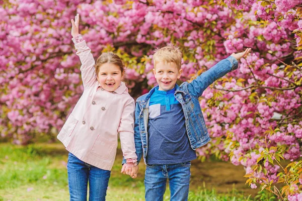 Un paio di bambini camminano nel giardino dell'albero di sakura. Dolci sentimenti d'amore. Ragazzina e ragazzo. Appuntamento romantico. Primavera per innamorarsi. Bambini innamorati di fiori di ciliegio rosa. L'amore è nell'aria. Bambini romantici — Foto Stock