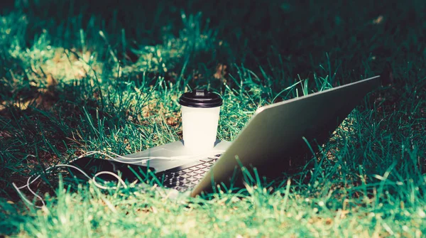 university students life. Online shopping. summer vibes. Relax. working place outdoor. Free music. agile business. Online study. computer with headset of mobile phone and coffee to go on green grass