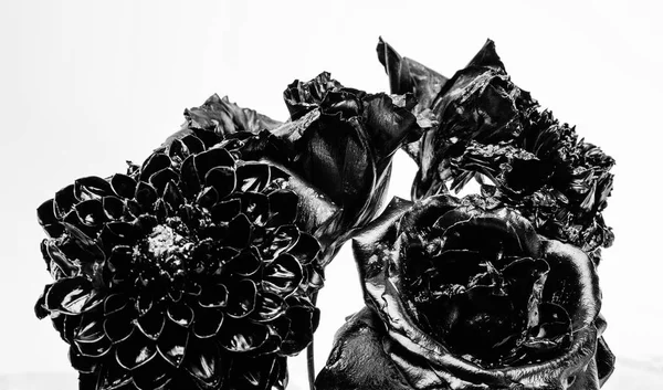 Attività di floristica. Glamour. crisantemo nero argento e fiore di rosa. vintage retro. ricchezza e ricchezza. arredamento antico metallizzato. bellezza grunge. Isolato su bianco. Array di colore. — Foto Stock