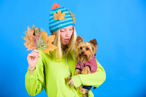 Take care pet autumn. Veterinary medicine concept. Health care for dog pet. regular flea treatment. Pet health tips for autumn. Girl hug cute dog and hold fallen leaves. Woman carry yorkshire terrier