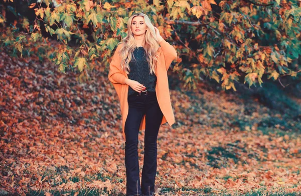 Cozy casual outfits for late fall. Comfortable outfit. Girl adorable blonde posing in warm and cozy outfit autumn nature background defocused. Cozy outfit ideas for weekend. Woman walk sunset light