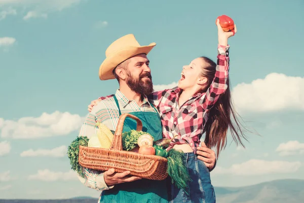 Colheita da família de agricultores. Apenas colheita biológica e fresca. Pai e filha segurar cesta colheita legumes. Jardinagem e colheita. Conceito de fazenda familiar. Homem barbudo rústico agricultor com criança — Fotografia de Stock