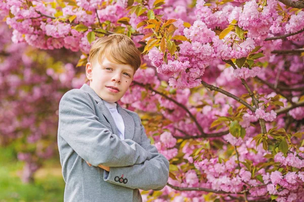 さくらガーデンコンセプト。自信に満ちたスタイリッシュな子供は暖かい春の日をお楽しみください。桜の近くでポーズをとる少年ファッショナブルなティーン。桜の木を背景にした子どものピンクの花。桜を楽しむ男 — ストック写真