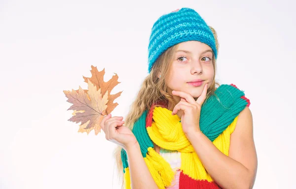 儿童秋季水桶列表。女孩可爱的脸戴针织秋季帽子和围巾保持叶子白色背景。秋季休闲的想法。枫叶女孩考虑休闲。秋季做列表 — 图库照片