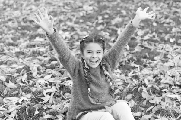 幸せな子供時代。学校の時間。秋の紅葉と自然。紅葉の小さな子。秋の森で幸せな小さな女の子。快適な感じ。最適な宿泊場所です。完全に満足して — ストック写真