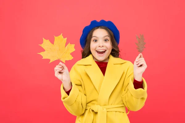 Totally happy. happy little girl with maple leaf. parisian girl child in french beret and yellow coat. school time. childhood happiness. fall season. fallen leaves bunch. autumn kid fashion — Stock Photo, Image