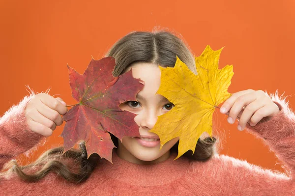 Egészséges bőr. Milyen csodálatos az ősz. Kis gyermek takaró arc juharfalevéllel. Egy kislány, aki őszi levelekkel mosolyog. Bőrápolás fiatal bőrnek. Őszi szépség. Természetes szépség. Boldog őszi szezont! — Stock Fotó