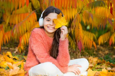 Tamamen rahatlamak için özel enstrümantal müzik koleksiyonu. Açık havada müziğin tadını çıkarın. Sıcak bir gün. Sonunda sonbahar geldi. Küçük kız kulaklıklarla sonbahar ağacının yanında dinleniyor. Keyifli bir ortam için müzik