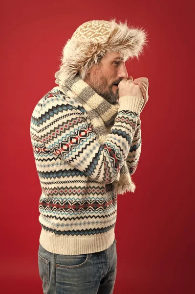 Soğuk titreme. Modaya uygun bir adam için kış kıyafeti. Olgun model soğuk hava tarzı sahiptir. Sakallı adam şapka ve eşarp ile kazak accessorizing. Bir kış topluluğu onu soğuktan korur. — Stok fotoğraf
