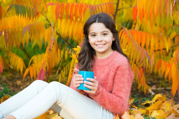 Cozy ideas for autumn picnic. Hot beverage. Health care. Little child enjoy autumn hot drink. Little child relax at autumn tree. Girl happy kid with mug in autumn park colorful foliage background