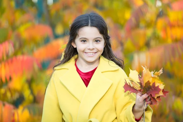 Őszi diffúzor keverékek. Boldog gyermek séta az őszi tájon. A kisgyerek szeret sétálni az őszi parkban. A kislány szórakozik és őszi levelekkel játszik. Hűvös őszi időjárás — Stock Fotó