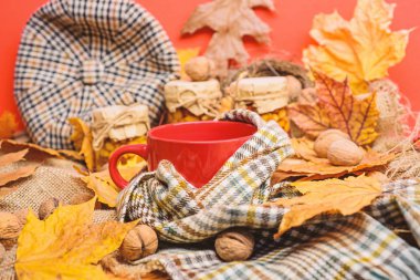 Kupa rahat aromatik çay içecek eşarp ve muamele etmek. Rahat sonbahar atmosfer. İçecek konsepti ısınma. Eşarp kırmızı arka plan düşmüş akçaağaç yaprakları ve ceviz ile çevrili çay bir fincan