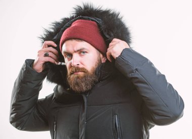 Nasıl en iyi kış ceket tercih. Kış sezonu erkek giyim. Hava geçirmez ceket kavramı. Adam stand sıcak ceket parka beyaz arka plan üzerinde izole sakallı. Hood sıcaklık ve hava direnci ekler
