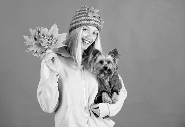 Take care pet autumn. Veterinary medicine concept. Health care for dog pet. Pet health tips for autumn. regular flea treatment. Girl hug cute dog and hold fallen leaves. Woman carry yorkshire terrier