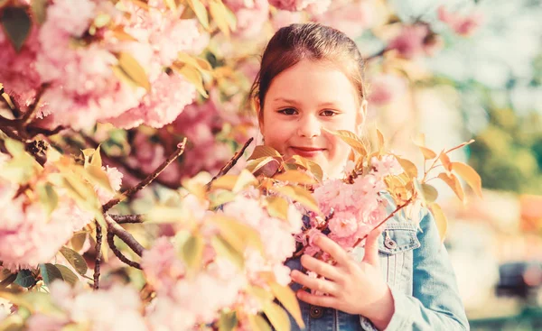 Blütengeruch, Allergie. kleines Mädchen im Frühling blühen Blumen. Sommerferien. Schönheit der Kindheit. Hautpflege. Naturkosmetik für die Haut. glückliches Mädchen in Kirschblüte. Der Sakura-Baum blüht. Traumhafter Sommer — Stockfoto