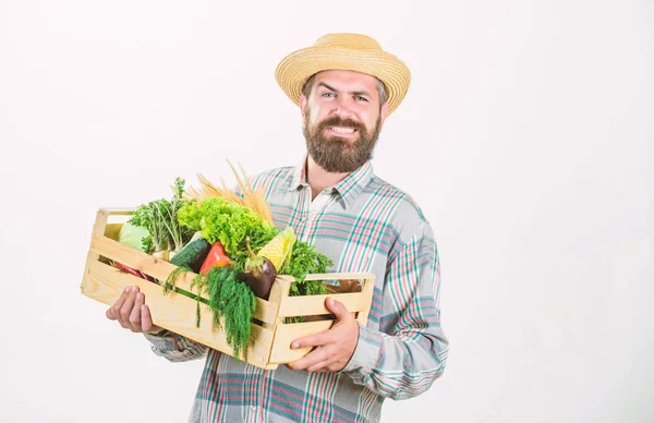 In campagna. uomo chef con ricco raccolto autunnale. cibo vitaminico stagionale. Frutta e verdura utili. alimenti biologici e naturali. Buon Halloween. contadino maturo barbuto. Festa del raccolto. campagna — Foto Stock