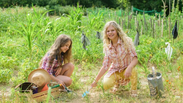Planting and watering. Planting vegetables. Sisters together helping at farm. Garden and beds. Rustic children working in garden. Girls planting plants. Agriculture concept. Growing vegetables
